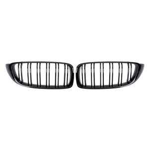 Car Kidney Grilles